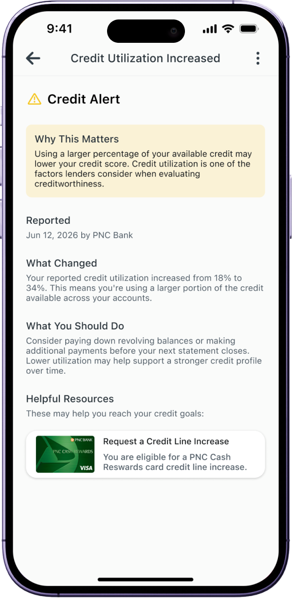 Credit utilization increased alert detail