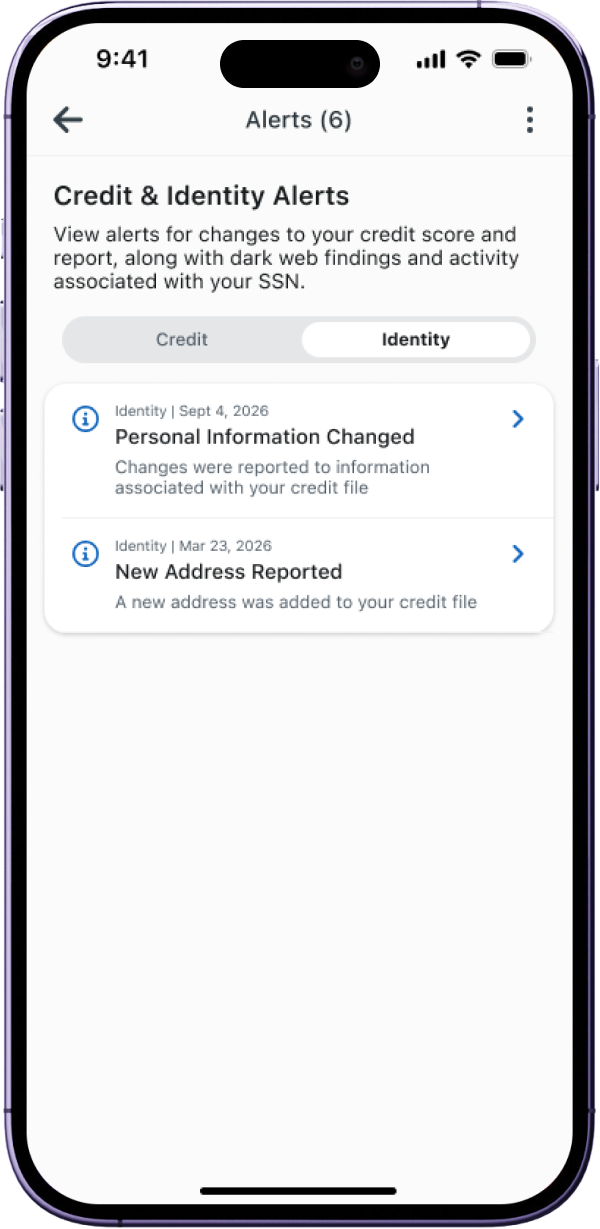 Identity alerts list